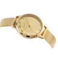 Dámske hodinky PERFECT F387-03 (zp532b) + BOX