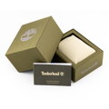 Pánske hodinky Timberland ASHMONT TBL.15252JS/03 (zq012a)