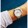 Dámske hodinky  TOMMY HILFIGER 1782278 EVE (zf523a)