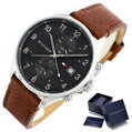 Pánske hodinky TOMMY HILFIGER 1791710 WEST (zf020a)
