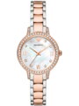 DÁMSKE HODINKY EMPORIO ARMANI CLEO AR11499 (zi546a)