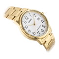 Pánske hodinky CASIO MTPV002G-7BUDF (zd103b)