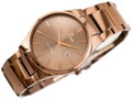 Hodinky G. ROSSI - 8245B2-2B3 (zg259f) brown