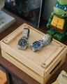 CASIO MTP-VD01D-2E PÁNSKE HODINKY (zd185c) + KRABIČKA