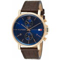 Pánske hodinky TOMMY HILFIGER 1710418 DANIEL (zf010c)