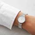 DÁMSKE HODINKY DANIEL WELLINGTON Classic Petite Sterling DW00100220 32mm