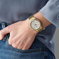 Dámske hodinky  TOMMY HILFIGER 1781977 ARI (zf526a)