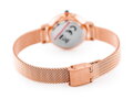 Dámske hodinky  ALBATROSS ABBC16 (za543e) rose gold / silver