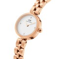 DANIEL WELLINGTON Elan Lumine Rose Gold 22mm DÁMSKE HODINKY DW00100717 + KRABIČKA (zw522a)