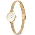 DANIEL WELLINGTON Petite Mini Gold Stainless Steel 19mm DÁMSKE HODINKY DW00100745 + KRABIČKA (zw523b)
