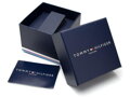 Pánske hodinky Tommy Hilfiger 1791871 ASHER (zf039c)