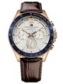 Pánske hodinky TOMMY HILFIGER 1791118 (zf066a)