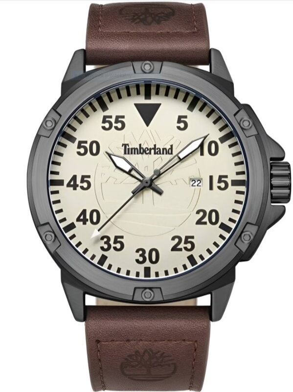 Pánske hodinky Timberland TDWGB9002802 + krabička